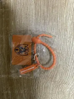 清水エスパルス キーホルダー Jリーグガチャ