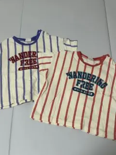 ストライプTシャツ