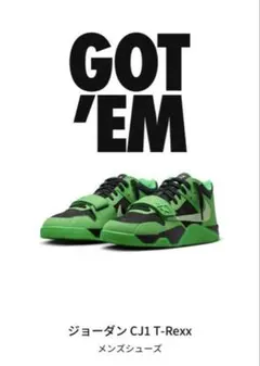 ジョーダン CJ1 T-Rexx メンズシューズ 11