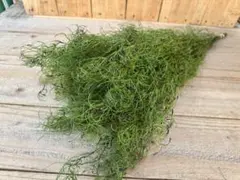 FLEUR8192020様 リクエスト 2点 まとめ商品