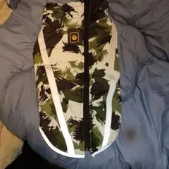 Item thumbnail for item f3160a1e-3227-494d-a132-29c7857c324c