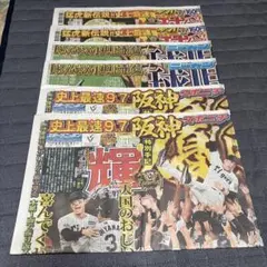 阪神タイガース 優勝特集 スポーツ新聞 2冊3セット