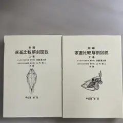 新編 家畜比較解剖図説 下巻 養賢堂 - メルカリ