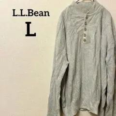 90s L.L.Bean 【L】ヘンリーネック コットンニット USA製