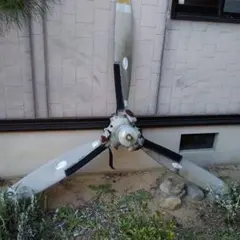 Item thumbnail for item b6514298-f6d6-4763-aa5d-34ace8b6e03c