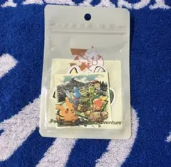 ポケモン 30周年 ステッカー ホウエンのサムネイル