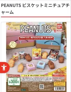 PEANUTS ビスケットミニチュアチャーム