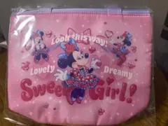 n*s様 ディズニー ミニーのファンダーランド スーベニアランチケース