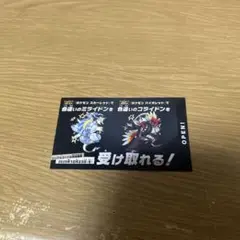 ポケモン　スカーレットバイオレット　色違い　ミライドン　コライドン