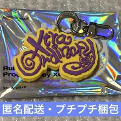 XG Rubber Keychain ラバーキーチェーン HARVEYハーヴィー