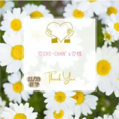 ♡CHI-CHAN's♡様 おすそ分け おまとめパーツ.。.:*☆