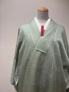 未使用 新品 正絹 紋紗 色無地　薄物 空色 着物単品 美品　地紋入り　裄66 Y2136◇美品 丹後ちりめん 一つ紋 手縫い トール 正絹 色無地