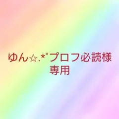 ゆん✩.*˚プロフ必読様専用セーラームーン一番くじ