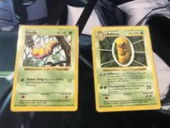 ポケカ 英語版 ビードル コクーン まとめ売り 旧裏 シャドーレス