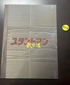 「スタントマン 武替道」パンフレット／特典付き／テレンス・ラウ／フィリップ・ン