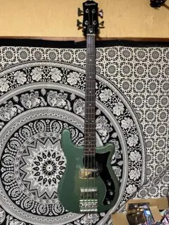 2025年最新】epiphone embassyの人気アイテム - メルカリ