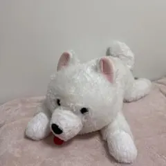 NITORI ニトリ サモエド ぬいぐるみ 犬 いぬ - メルカリ