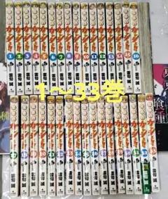 金色のガッシュ 1～33巻 全巻セット