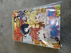 BLEACH 39号 週刊少年 ジャンプ 2003年 - メルカリ
