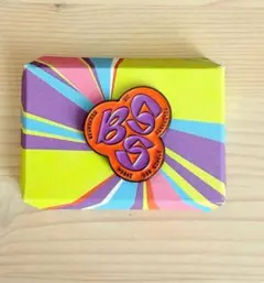 bss teleparty ピンバッジ　ブソクスン　①