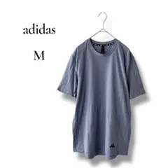 Item thumbnail for item caf2dc77-3621-401f-90ce-8ba72beada6c