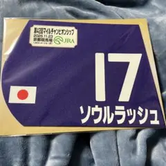 2025年最新】ミニゼッケンの人気アイテム - メルカリ