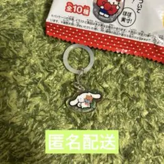 サンリオキャラクターズ アクリルチャーム シナモロールVol.2