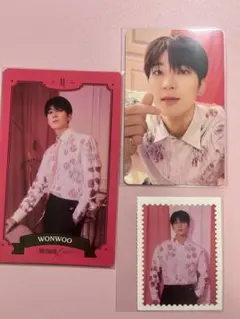 SEVENTEEN セブチ ウォヌ シーグリ 2023