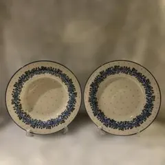 【廃盤品】ルノ　Runoウィンタースター/プレート26cm×2枚 取扱い終了】ARABIA/アラビア/Runo/ルノ/ウィンタースター/プレート 食器