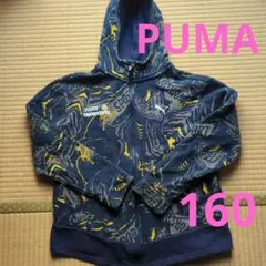 Puma グラフィックプリント パーカー