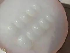 クリアホワイト グリッター ネイルチップ