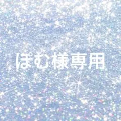 ぽむ様専用ページ
