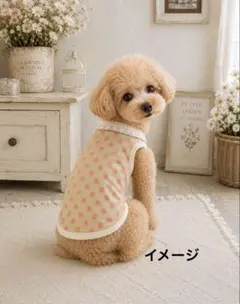 犬服 ハンドメイド タンクトップ（ブラウン） ML - メルカリ
