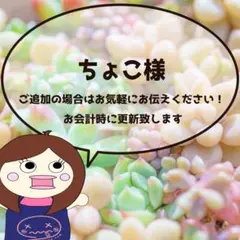 ちょこ様
