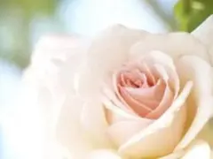 次回の発送様専用【岩塚製菓/工場直販店限定】追加購入分おまとめページ