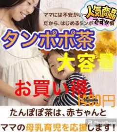 Item thumbnail for item 5be0da94-fb55-42ed-9377-99d9d20befa0