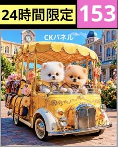 新柄♥️24時間限定！レアパネル生地　6柄　6犬種パネル生地　CKパネル