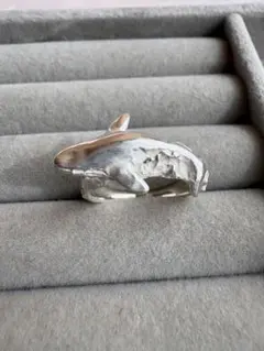 Item thumbnail for item 6ac76142-1ff9-45e8-bf42-e6e7cc26f9dd