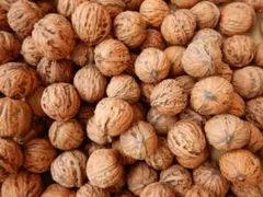 なつこ様 リクエスト 2点 まとめ商品