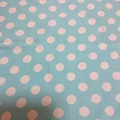 Item thumbnail for item 2673790f-b925-446e-9e2f-44dbb89edf00