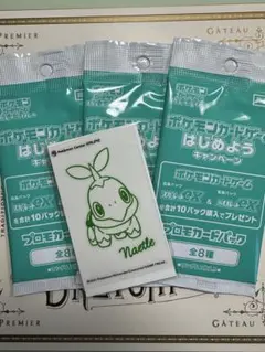 ポケモンカードゲーム はじめよう キャンペーン プロモ 100パック ポケカ】『ポケモンカードゲームはじめようキャンペーン』プロモ