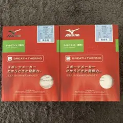 MIZUNO BREATH THERMO ロングタイツ 男性用 L 2セット