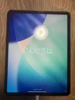 ​iPad Pro本体 12.9インチ 第5世代 128GB