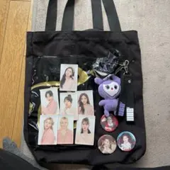 Twice DREAM DAY ライブバック　サナ　ぬいぐるみ バッジ