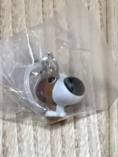 THEDOG めじるし　ビーグル