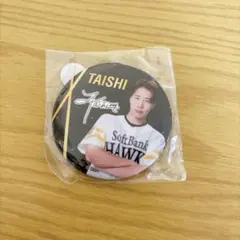 ソフトバンクホークス ハニーズ honeys 若鷹ガチャ TAISHI