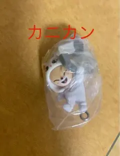 つまんでつなげてますこっと SKZOO フォクシニー ジニレット スキズ ガチャ