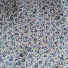 Item thumbnail for item ef140f21-b029-4e45-ad87-20069feb2311