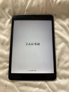 iPad mini 第三世代スペースグレー 本体
