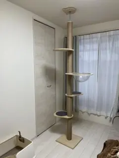 투명 목재 그릇이 달린 풀업 캣 타워